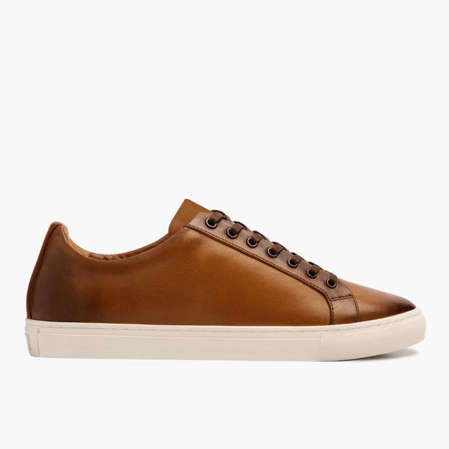 Thursday Boots Premier Low Tops Leder Rugged & Resilient Sneakers Herren Gold | CH370UZG