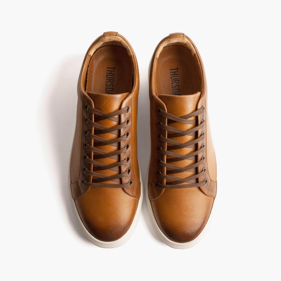 Thursday Boots Premier Low Tops Leder Rugged & Resilient Sneakers Herren Gold | CH370UZG