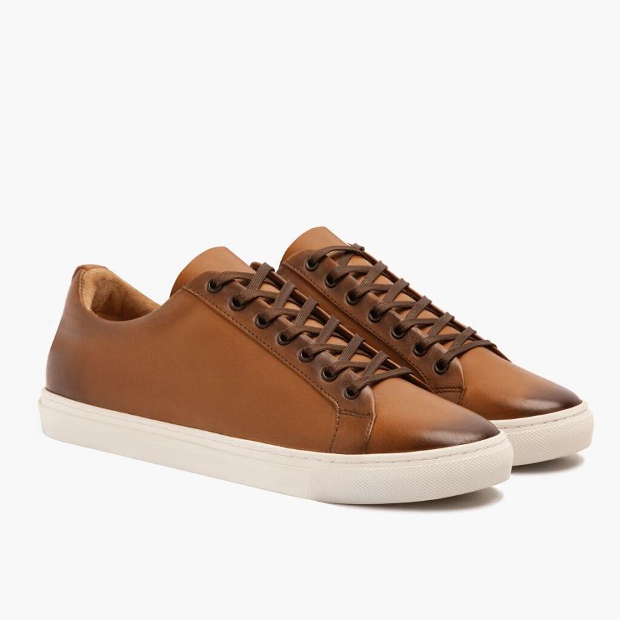 Thursday Boots Premier Low Tops Leder Rugged & Resilient Sneakers Herren Gold | CH370UZG