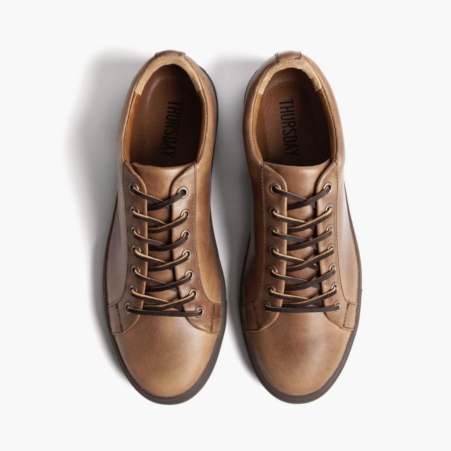 Thursday Boots Premier Low Tops Leder Sneakers Herren Braun | CH372TCE