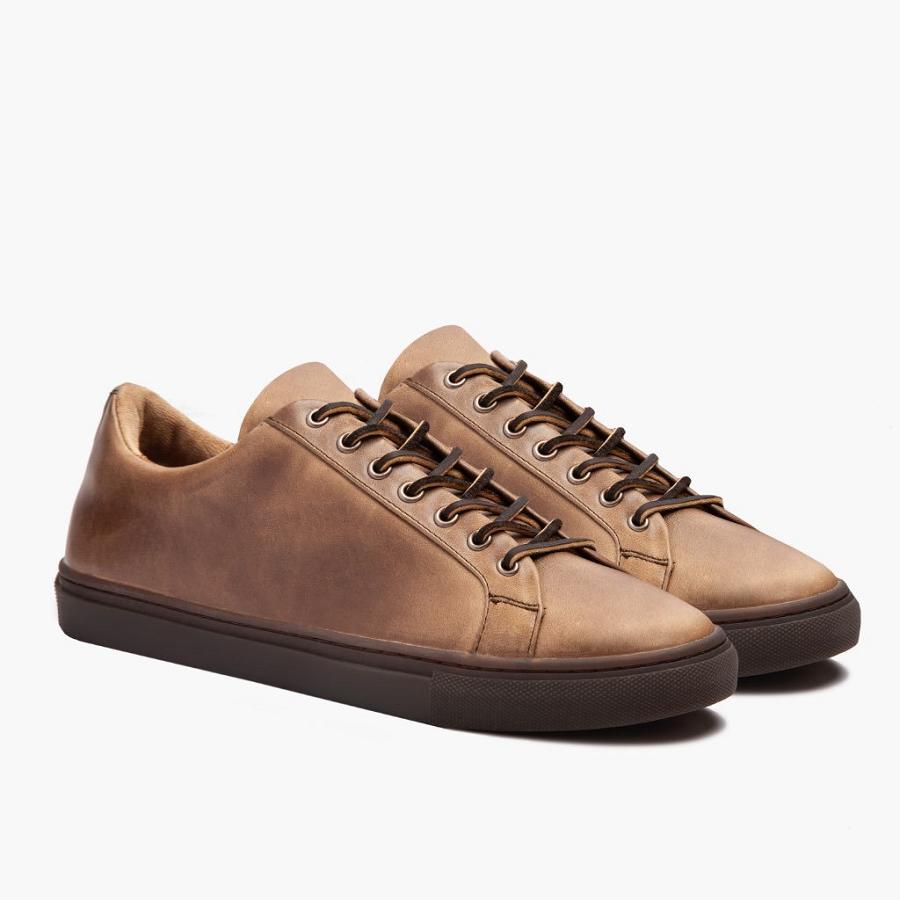 Thursday Boots Premier Low Tops Leder Sneakers Herren Braun | CH372TCE