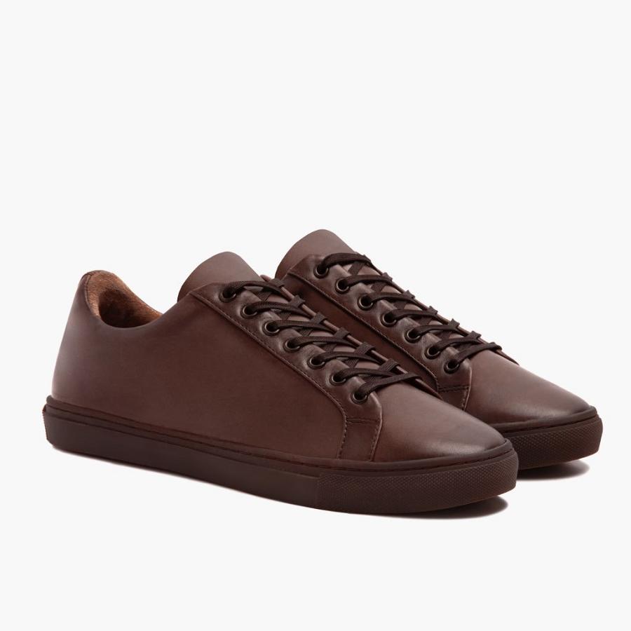 Thursday Boots Premier Low Tops Leder Sneakers Herren Kaffee | CH375WNB