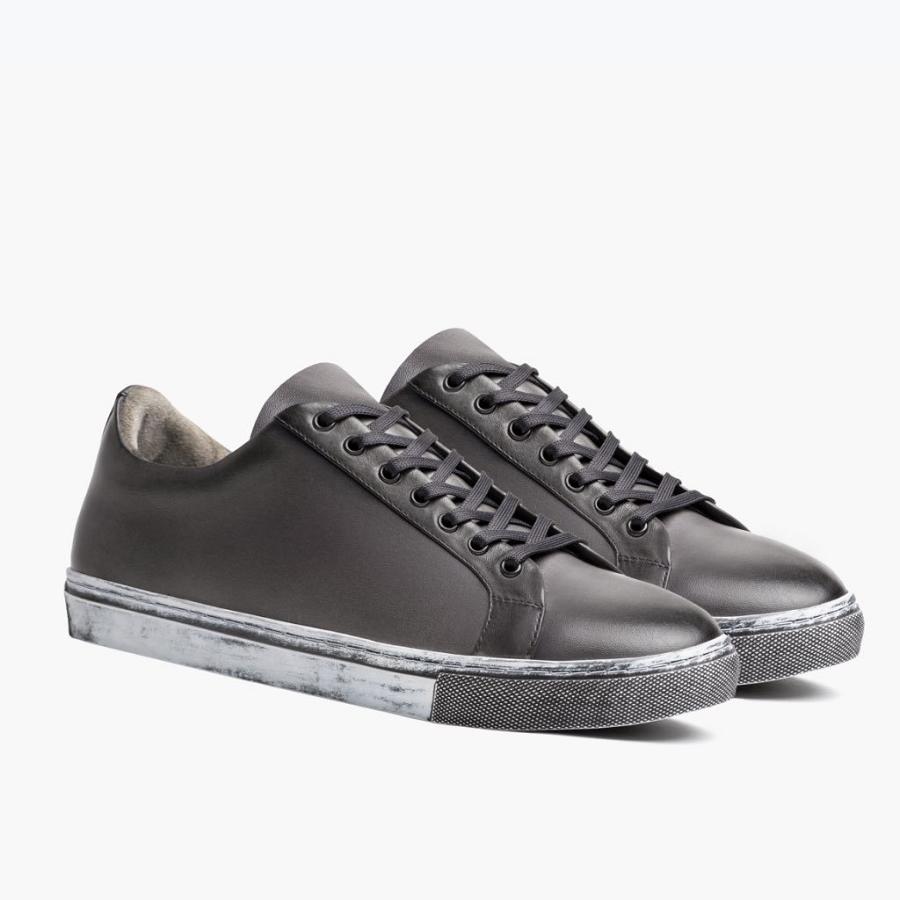 Thursday Boots Premier Low Tops Leder Sneakers Herren Grau | CH376QMA