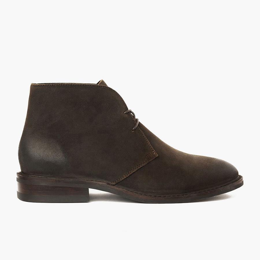 Thursday Boots Scout Wildleder Chukka Stiefel Herren Dunkelolivgrün | CH63WNB