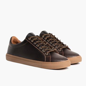 Thursday Boots Premier Low Tops Leder Klassische Sneakers Herren Braun | CH368OKI