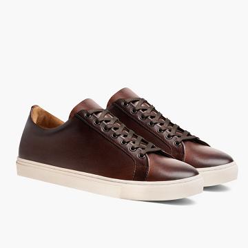 Thursday Boots Premier Low Tops Leder Rugged & Resilient Sneakers Herren Kaffee | CH371YXF