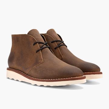 Thursday Boots Scout Nubuck Schnürstiefel Herren Kaffee | CH394OKI